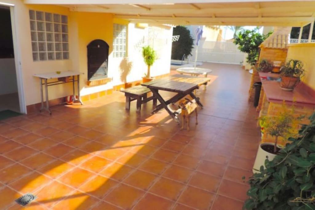 Luxury Villa 20Mts Far From The Sea オリウエラ エクステリア 写真